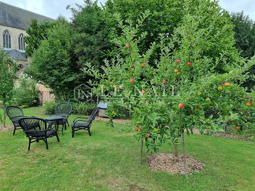 House with garden 4