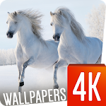 Horses Wallpapers 4K Apk