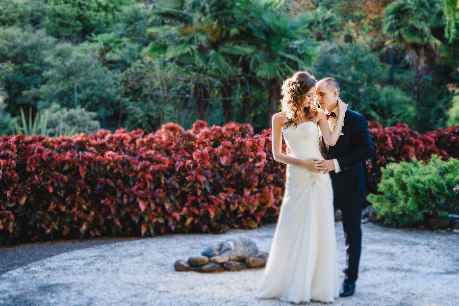 Wedding photographer Svetlana Zenkevich (zenkevichsveta). Photo of 26 December 2016