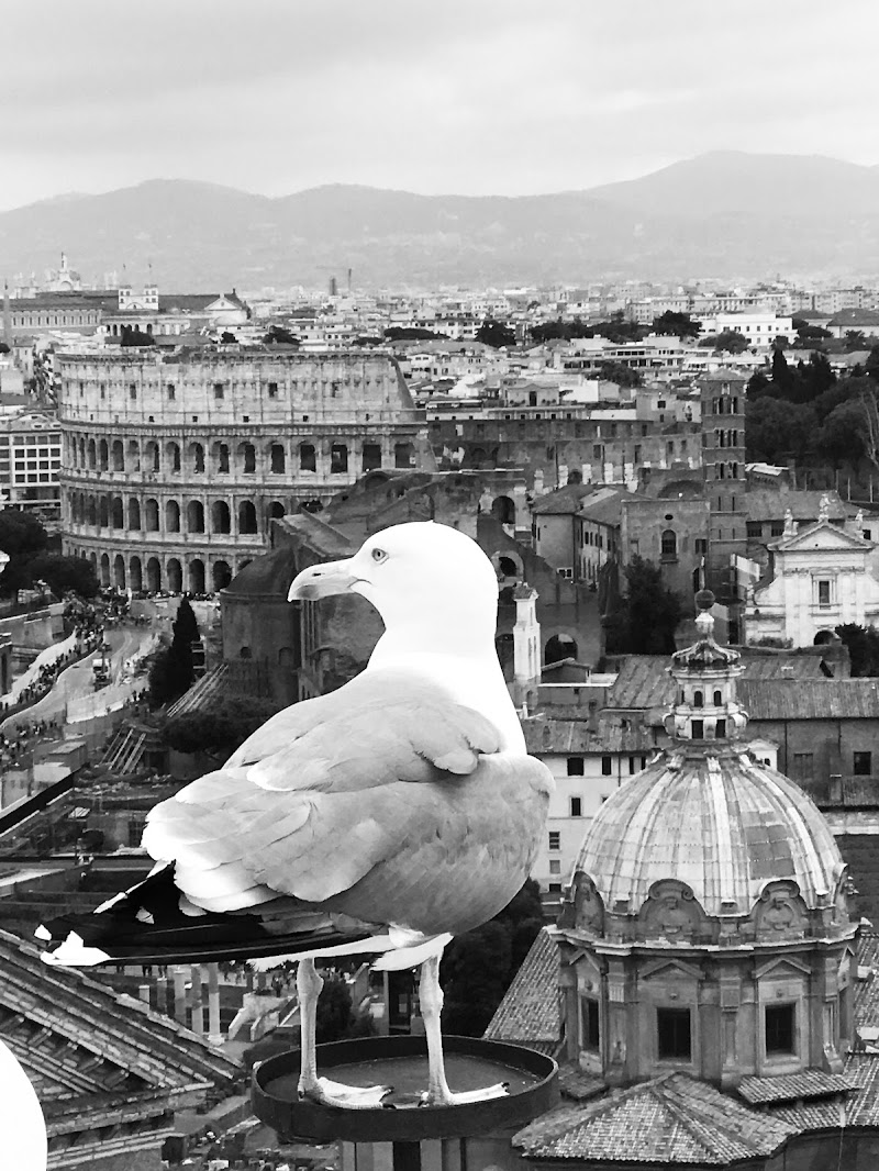 In volo su Roma di donac