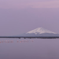 Omaggio a Hokusai di 