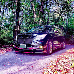 エルグランド PE52