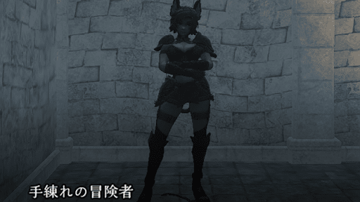 手練れの冒険者