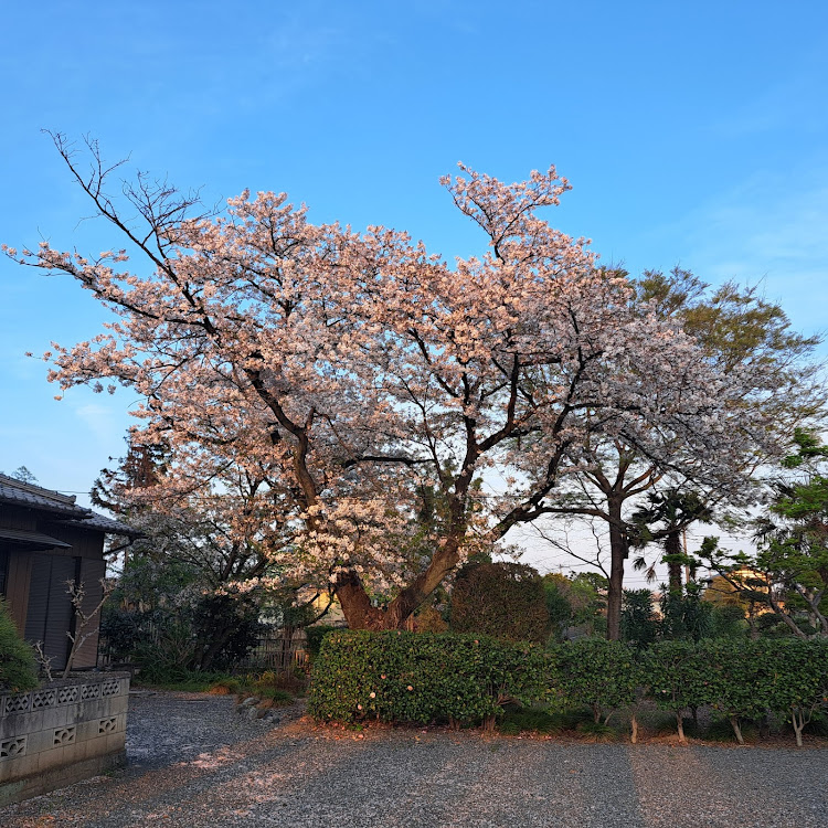 の投稿画像2枚目