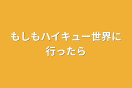 もしもハイキュー世界に行ったら