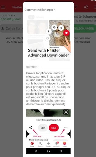 Pinterest Video Downloader