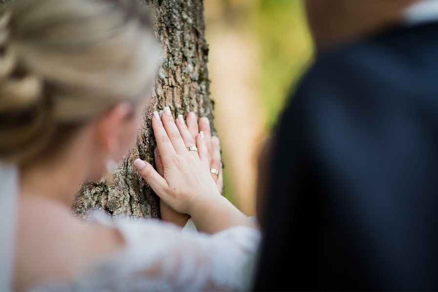 Vestuvių fotografas Evelina Pavel (sypsokites). Nuotrauka 2015 gegužės 14