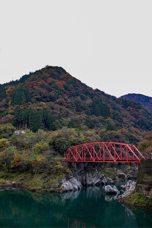 の投稿画像2枚目