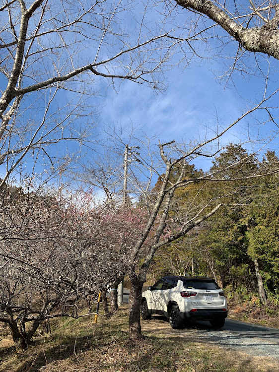 コンパスの#jeep Compass・#小國神社・#小國神社梅園・#jeepに関するカスタム事例の投稿画像1枚目