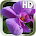 Orchids Live Wallpaper