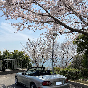 ロードスター NB6C