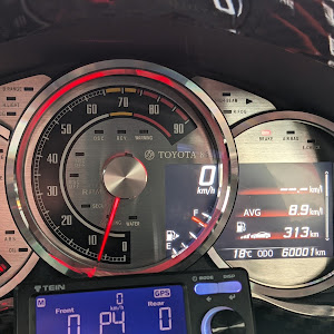 86 ZN6