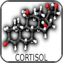 应用程序下载 How to Raise Cortisol Levels 安装 最新 APK 下载程序