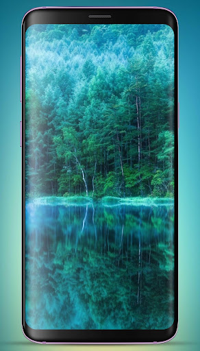 Teal Color Wallpaper HD