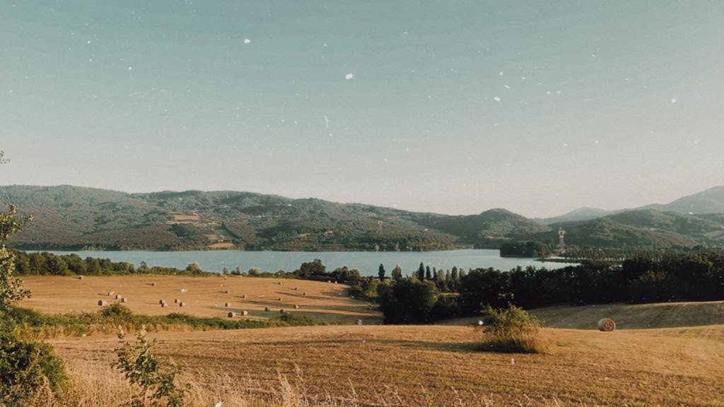 Lago di Bilancino  di nancy_miraglia