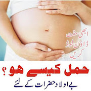 Pregnancy Tips In Urdu  Icon