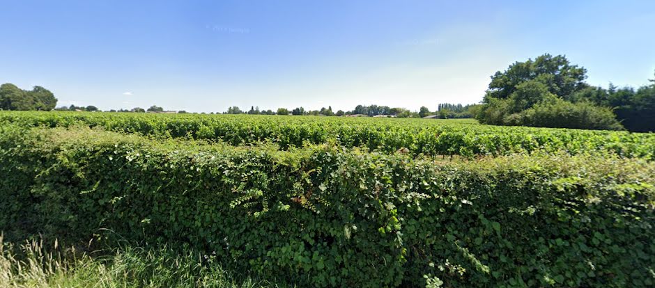 Vente terrain  380 m² à La Lande-de-Fronsac (33240), 79 000 €