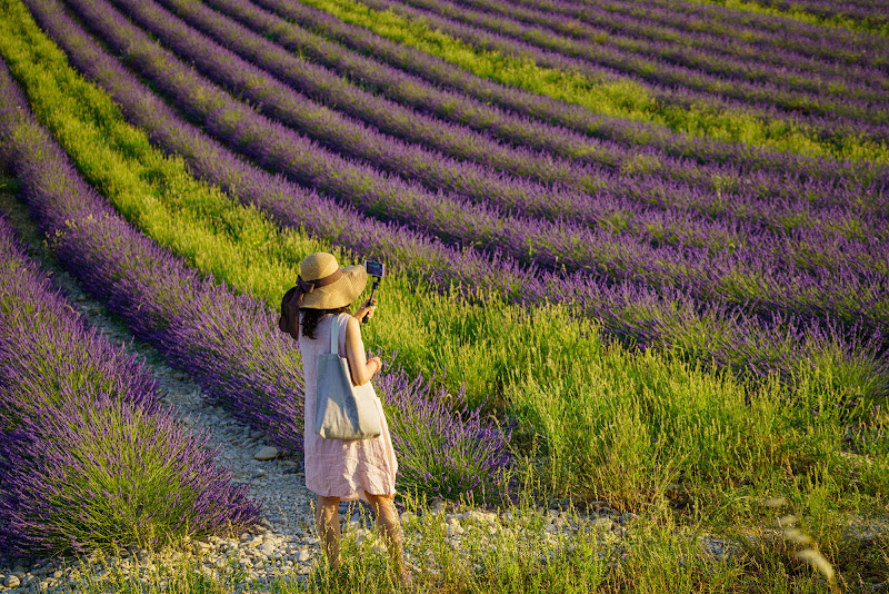 Un click tra la lavanda di mariateresatoledo