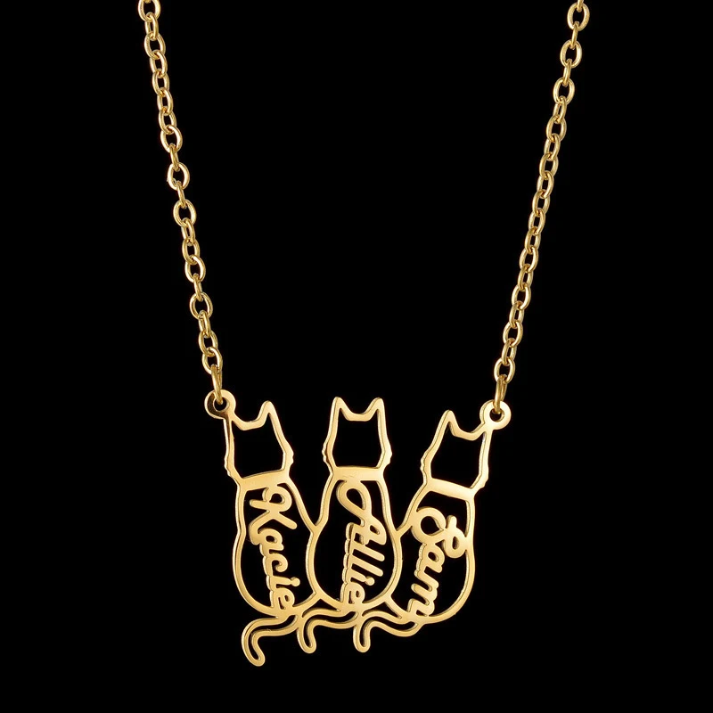 Ogrlica od nerđajućeg čelika sa kreativnim i minimalističkim imenom. Elegantni personalizovani aksesoar za svakodnevno nošenje.