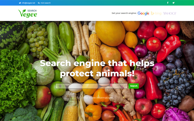 Vegee Search chrome extension