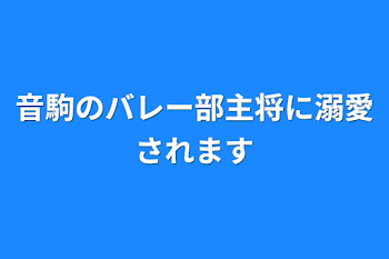 音駒のバレー部主将に溺愛されます