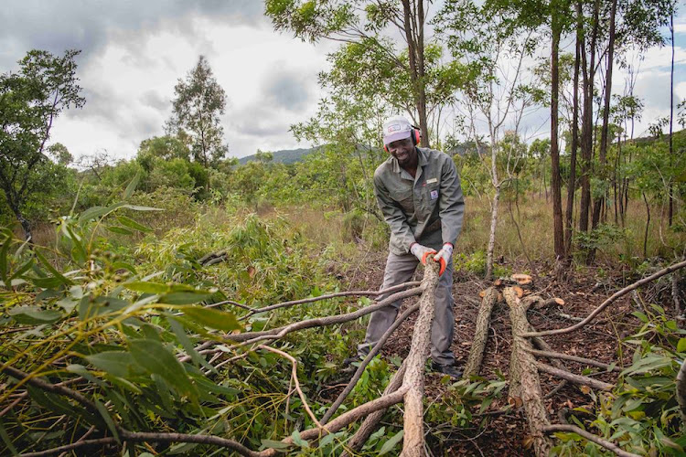 Elias Elvis Sithole clearing in Soutpansberg, one of SA’s priority catchment area.