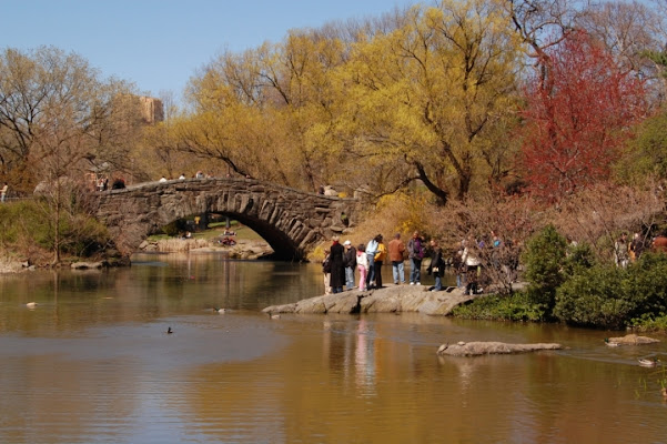 Loving central park di nicorobyn