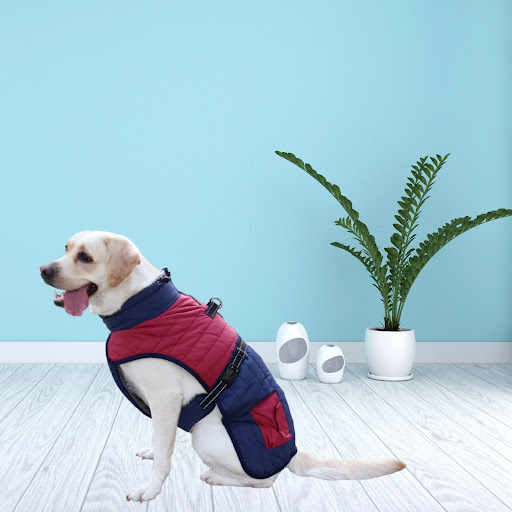 Title 13, Autumn And Winter Thick Warm Dog Coat. Keep you...