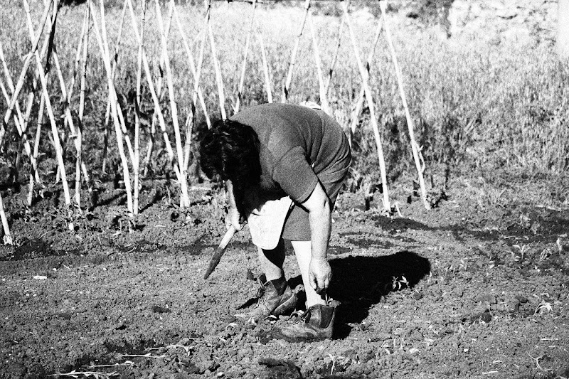 L'agricoltura e i suoi attori di Photolo