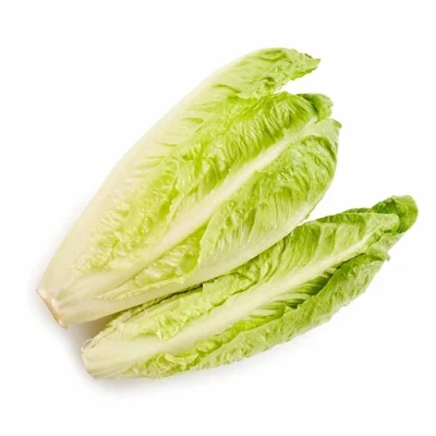 Lettuce Romain 1 Kg