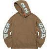 supreme team chenille hooded sweatshirt ss22