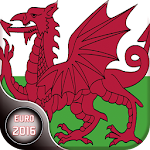 Cover Image of Download Head Soccer EURO 2016 Wales 1.0.5 APK
