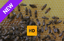 Bees Wallpaper HD New Tab Theme small promo image