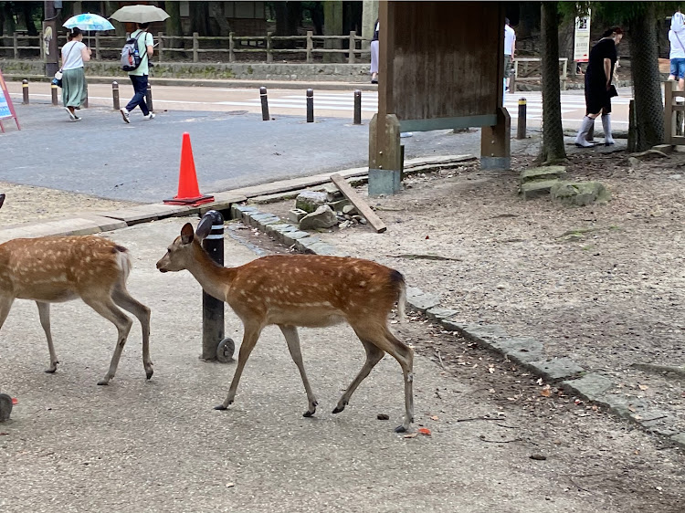 の投稿画像3枚目