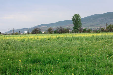 Düğün fotoğrafçısı Inessa Lagutina (liveart). 4 Mayıs 2016 fotoları