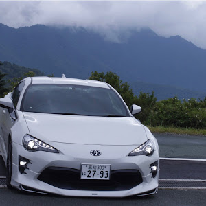 86 ZN6