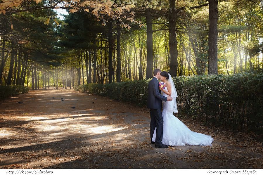 Fotografo di matrimoni Olga Zvereva (ooebest). Foto del 8 dicembre 2015