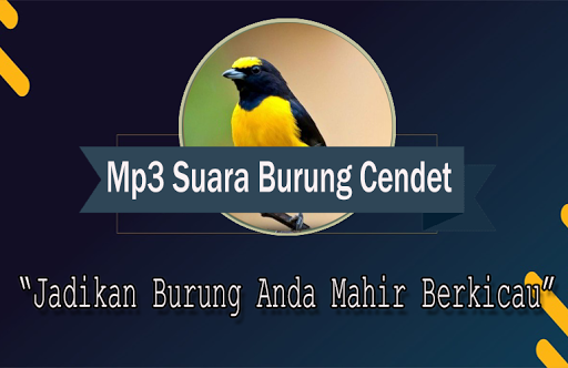 Suara Burung Sirtu Gacor Offline