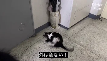 雑談！