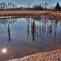 LO STAGNO E IL SOLE di 