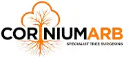 Corinium Arb Logo