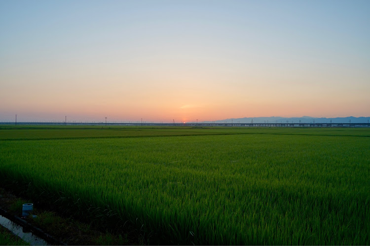 CR-Vの自然の中のCR-V・田んぼの中で・車写活・新潟のいいところ・米どころ🌾に関するカスタム事例の投稿画像9枚目