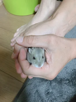 恋愛