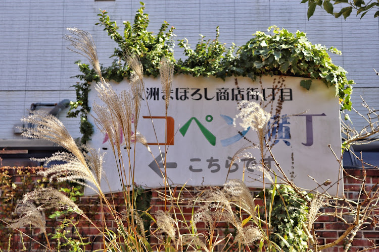 S660の愛媛県・大洲市・赤煉瓦館・ポコペン横丁・稲荷山に関するカスタム事例の投稿画像12枚目