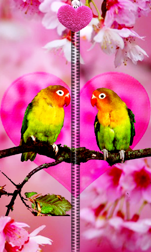 Love Birds Zipper UnLock