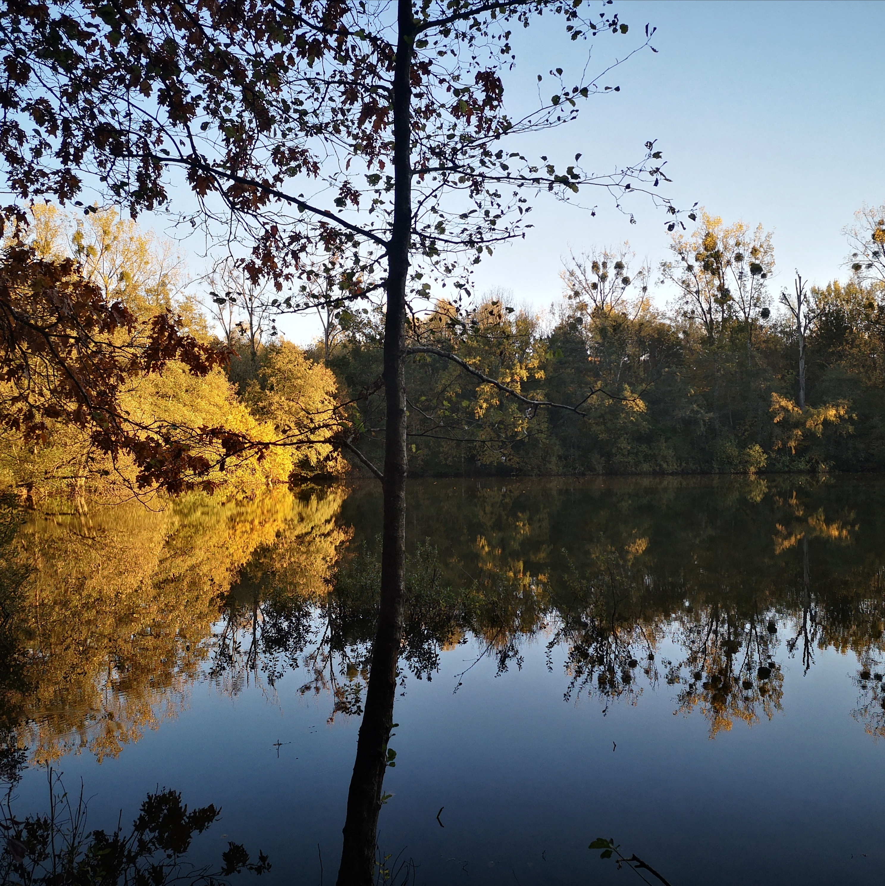 Acqua d'autunno di Delme