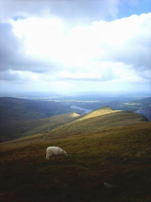 Monte Snowdon, Galles di Andr* Franz