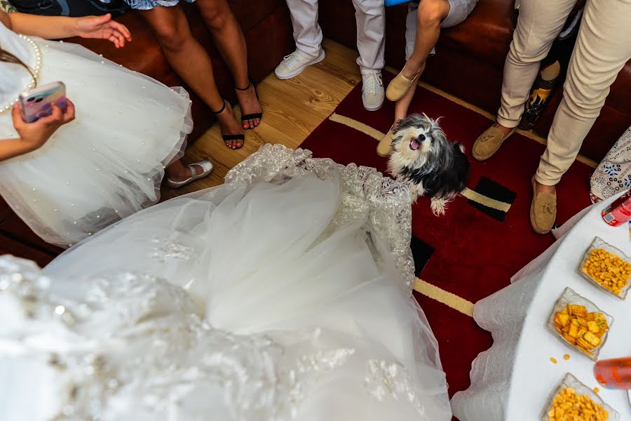 Wedding photographer Ciprian Grigorescu (cipriangrigores). Photo of 24 June 2023