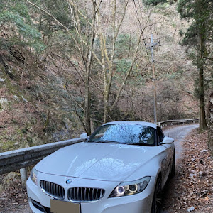 Z4 E89