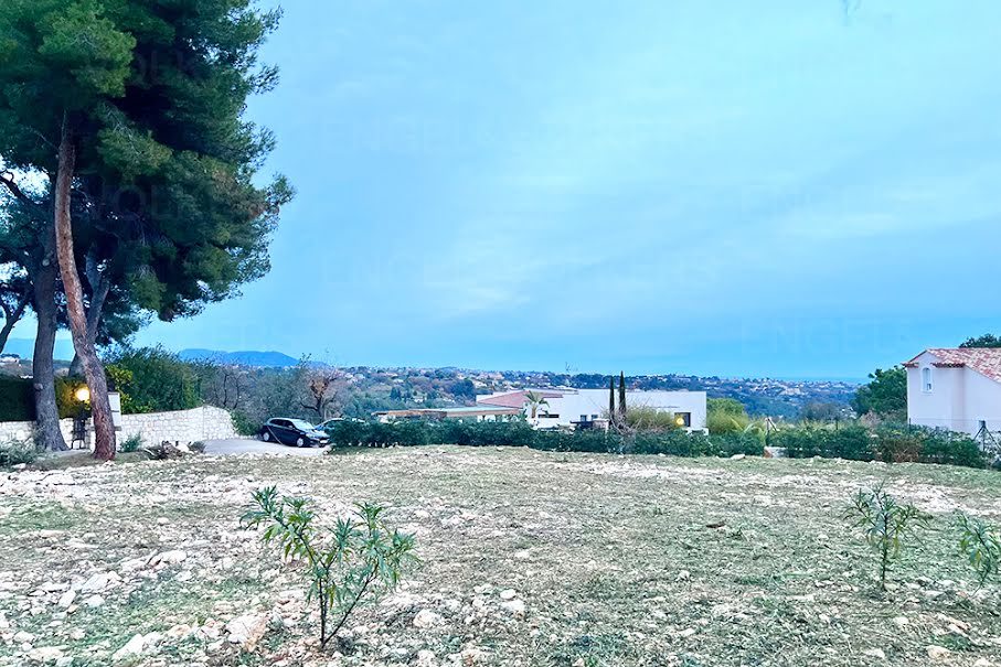 Vente terrain 1 pièce 1600 m² à Vence (06140), 900 000 €